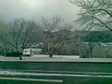 20090113.jpgのサムネール画像