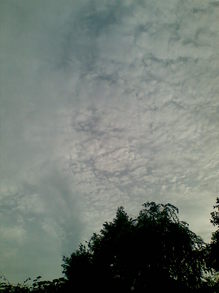 20090711(001).jpgのサムネール画像