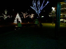20091213.jpgのサムネール画像