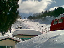 20100207(003).jpgのサムネール画像