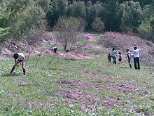 20100504.jpgのサムネール画像