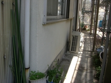 20100608 025.jpgのサムネール画像