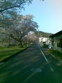 20110412.jpgのサムネール画像
