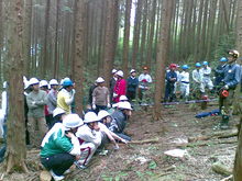 20110605(010).jpgのサムネール画像