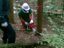 20110605(015).jpgのサムネール画像