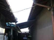 tamadatei.jpgのサムネール画像