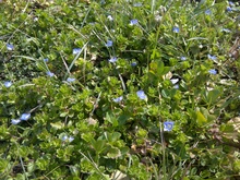 IMG-20120303-00037.jpgのサムネール画像