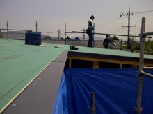 IMG-20120516-00347.jpgのサムネール画像