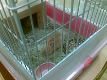 20100211.jpg