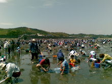 20100516(003).jpg