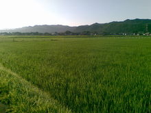 20110629(001).jpg