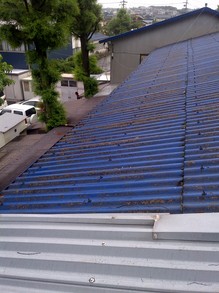 2013-06-20 07.58.27.jpg