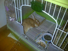 IMG-20110930-00096.jpg
