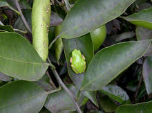 IMG-20111001-00098.jpg