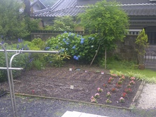 IMG-20120621-00527.jpg