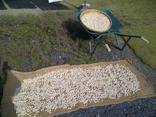 IMG-20121025-00215.jpg