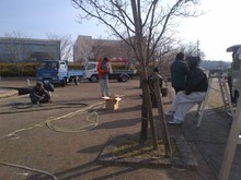 IMG-20130113-00036.jpg