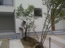Komaki-Shi-20120906-00033.jpg